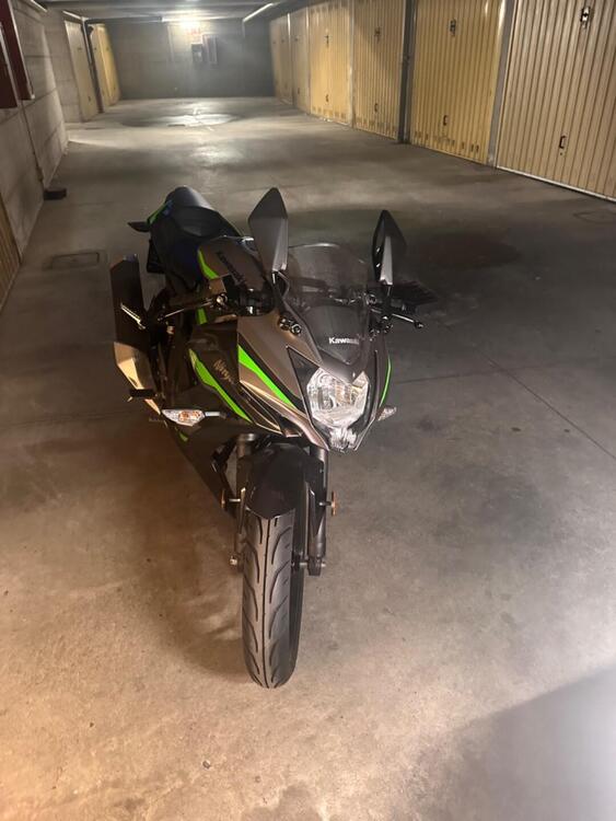 Kawasaki Ninja 125 (2021 - 25)