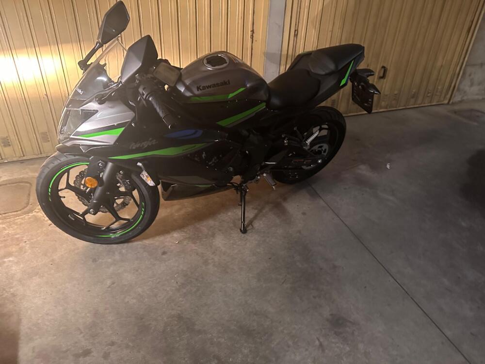 Kawasaki Ninja 125 (2021 - 25) (2)