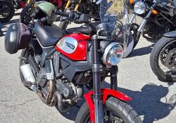 Ducati Scrambler 800 Icon (2015 - 16) usata