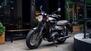 Triumph Bonneville T120 Gold Line Edition (2022 - 23) (9)