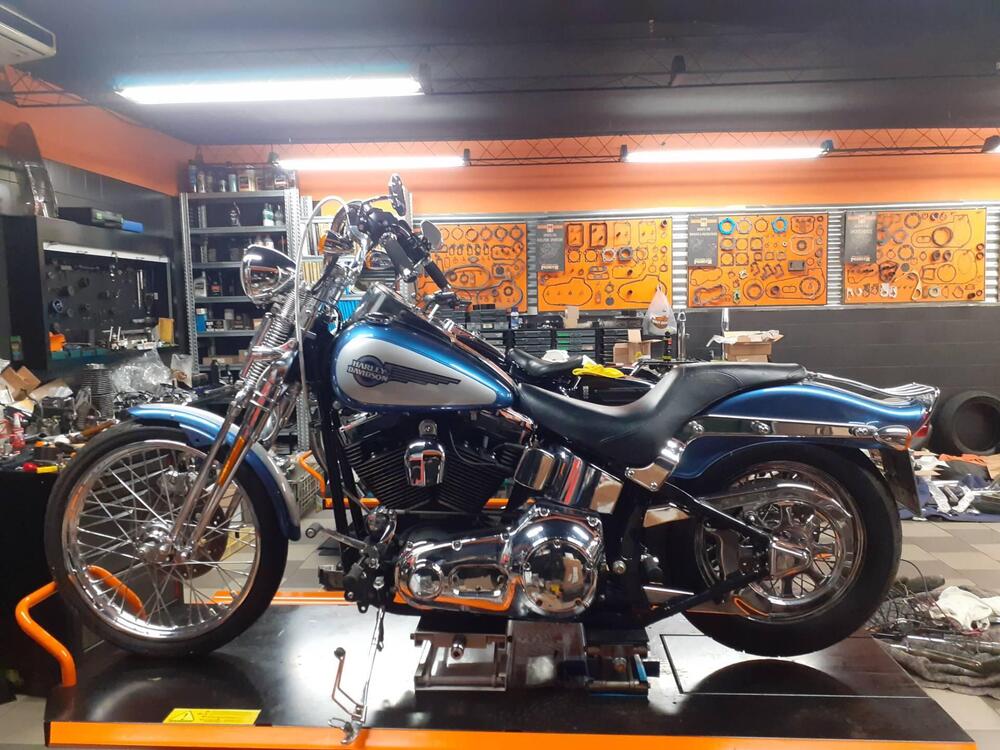 Harley-Davidson 1450 Springer (2005 - 06) - FXSTSI (3)