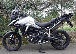 Triumph Tiger 900 GT Pro (2024 - 25) usata