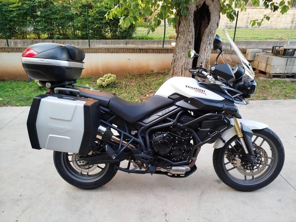 Triumph Tiger 800 ABS (2010 - 14) (3)