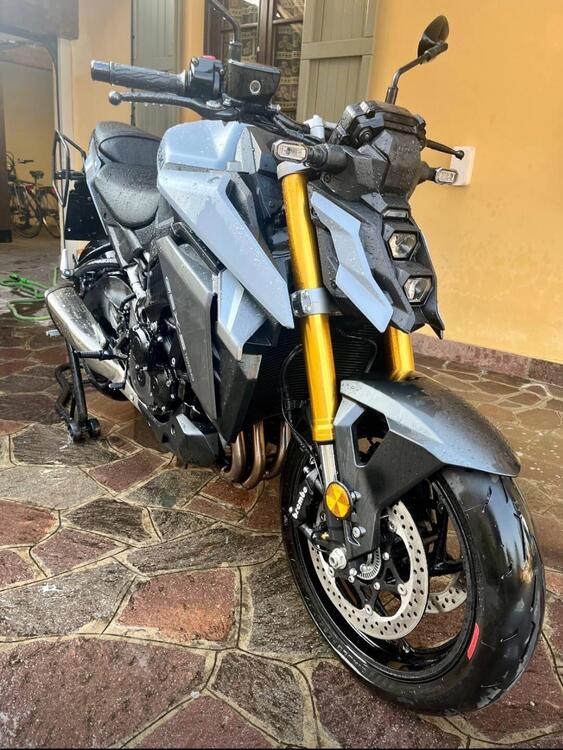 Suzuki GSX-S1000 (2021 - 25) (5)