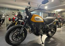 Ducati Scrambler 800 Classic (2015 - 16) usata