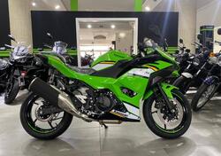 Kawasaki Ninja 500 SE (2024 - 25) nuova