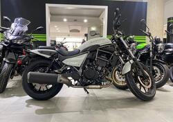 Kawasaki Eliminator 500 (2024 - 25) nuova