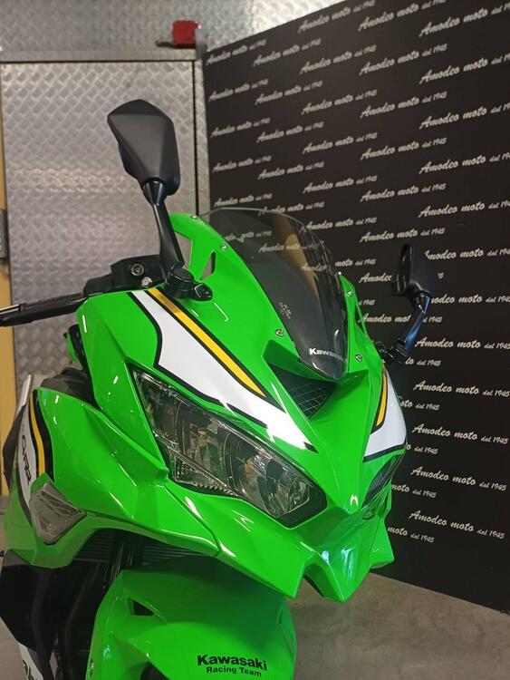 Kawasaki Ninja ZX-4RR (2024 - 25) (3)