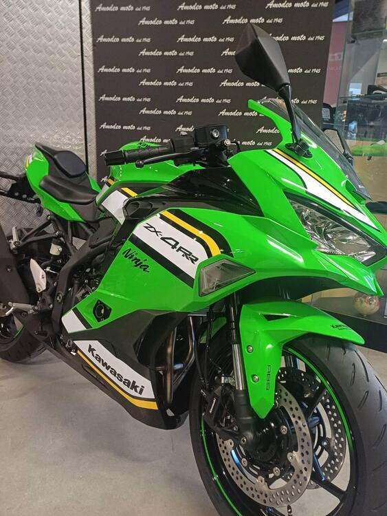 Kawasaki Ninja ZX-4RR (2024 - 25) (5)