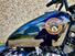 Harley-Davidson 1200 Custom (2001 - 03) - XL 1200C (15)