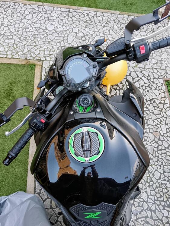 Kawasaki Z 900 (2017 - 18) (5)