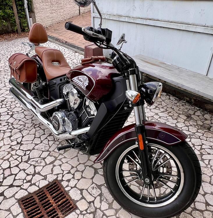 Indian Scout 1133 (2021 - 25) (3)