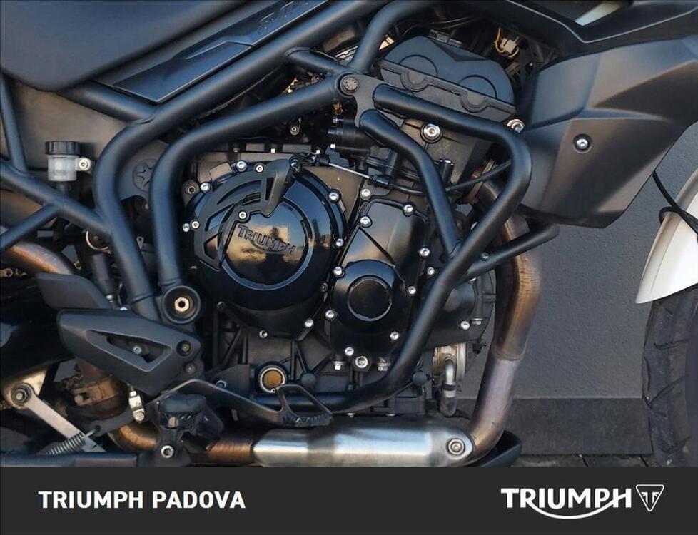 Triumph Tiger 800 (2010 - 14) (3)