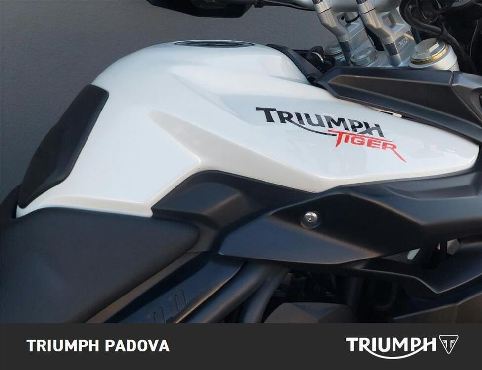 Triumph Tiger 800 (2010 - 14) (4)