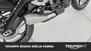 Triumph Street Triple R (2020 - 22) (17)