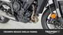 Triumph Street Triple R (2020 - 22) (19)