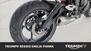 Triumph Street Triple R (2020 - 22) (16)