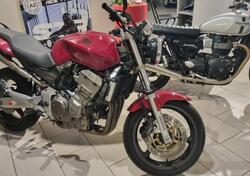 Honda Hornet 900 usata