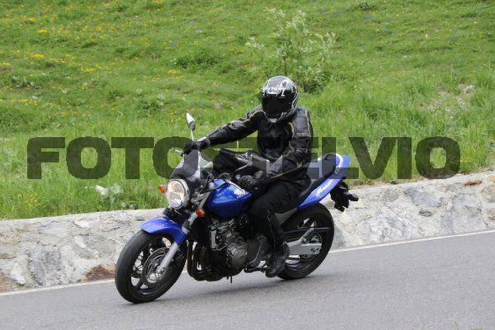 Honda Hornet 600 (2003 - 04) (2)