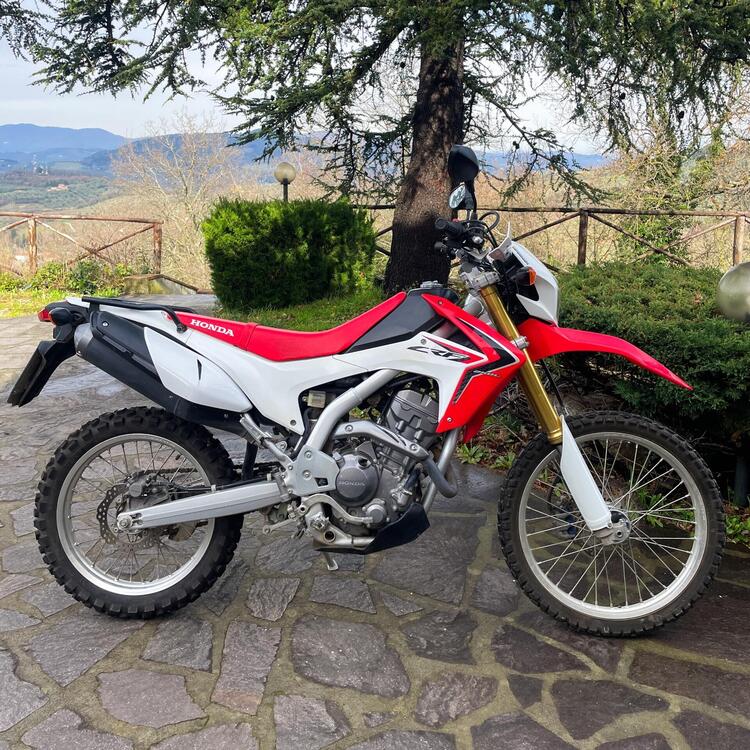 Honda CRF 250 L (2012 - 13) (2)