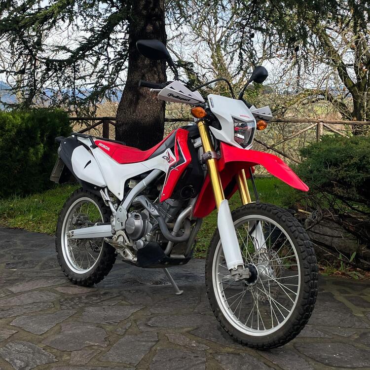 Honda CRF 250 L (2012 - 13) (4)