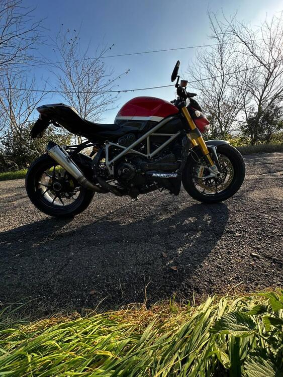 Ducati Streetfighter S (2009 - 14) (4)