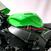 Kawasaki Ninja 1000 ZX-10R (2021 - 25) (10)