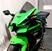 Kawasaki Ninja 1000 ZX-10R (2021 - 25) (9)