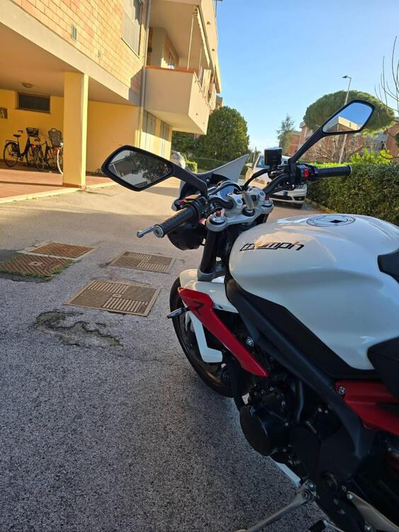 Triumph Street Triple R (2013 - 14) (4)