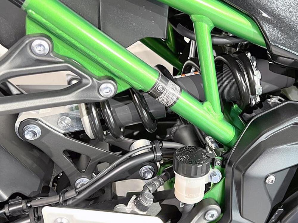 Kawasaki Z 900 (2021 - 24) (5)