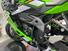 Kawasaki Ninja ZX-4RR (2024 - 25) (8)