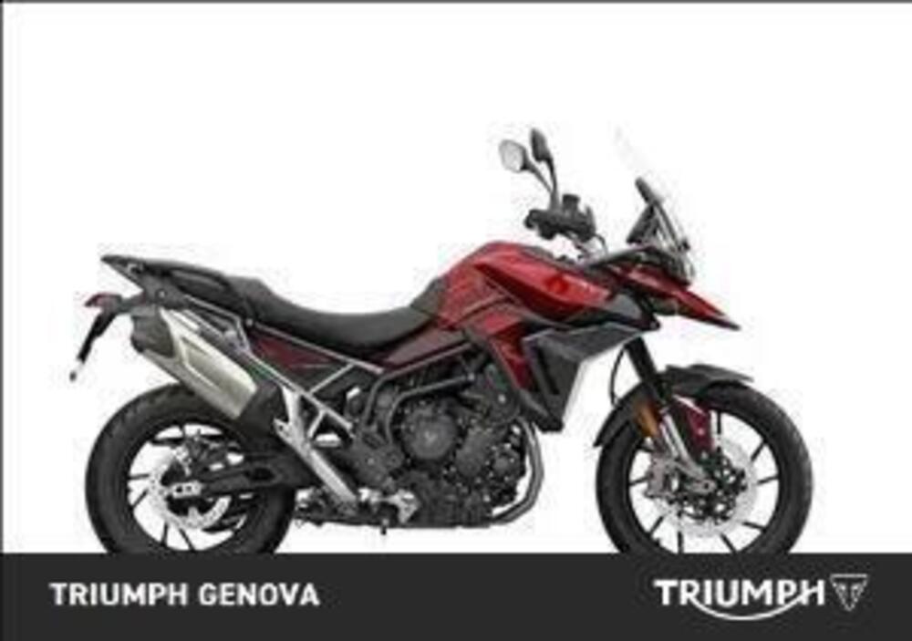 Triumph Tiger 900 GT Pro (2024 - 25)