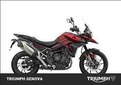 Triumph Tiger 900 GT Pro (2024 - 25) usata