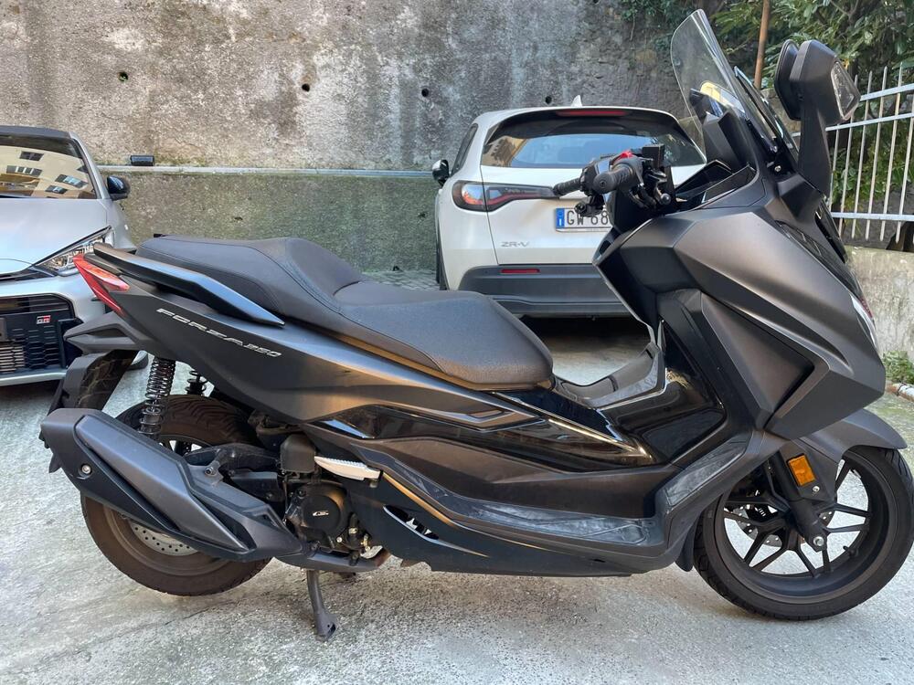 Honda Forza 350 (2022 - 24) (4)