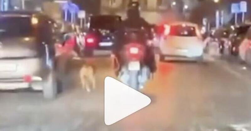 Uomo in scooter costringe il cane a correre al guinzaglio [VIDEO]