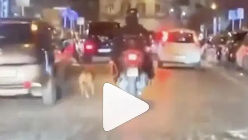 Uomo in scooter costringe il cane a correre al guinzaglio [VIDEO]