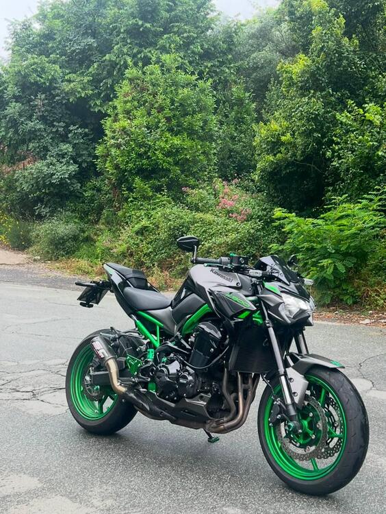 Kawasaki Z 900 A2 Performance (2021 - 24) (2)