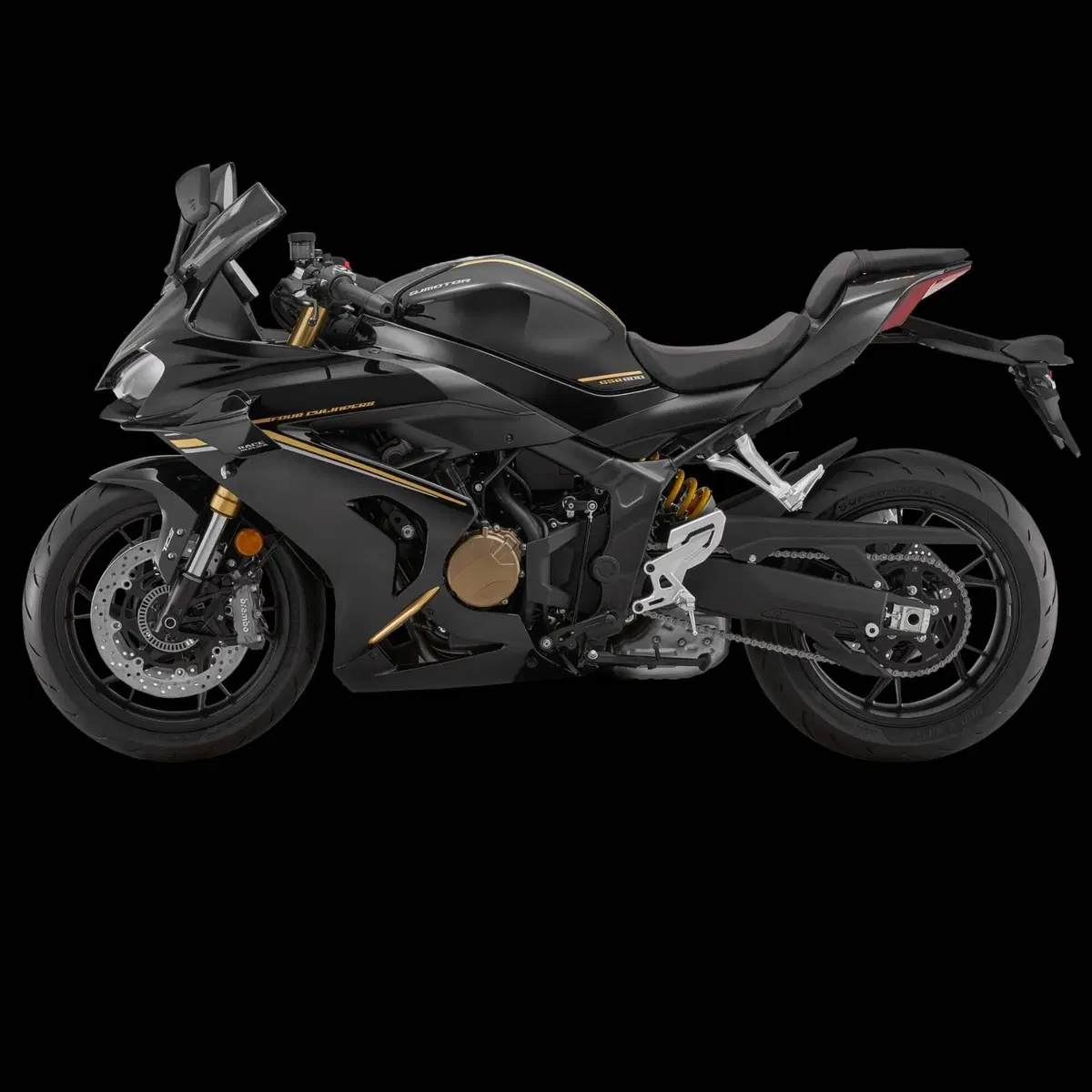QJ Motor SRK 800 RR (2024) (2)