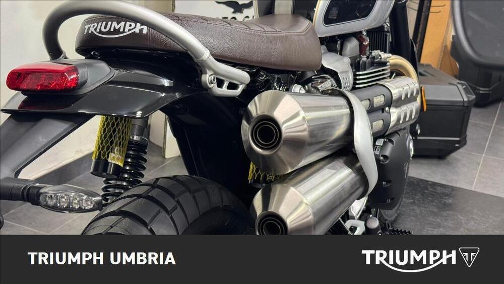 Triumph Scrambler 1200 X Icon Edition (2025) (4)