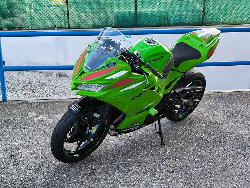 Kawasaki Ninja 400 (2018 - 20) (2)