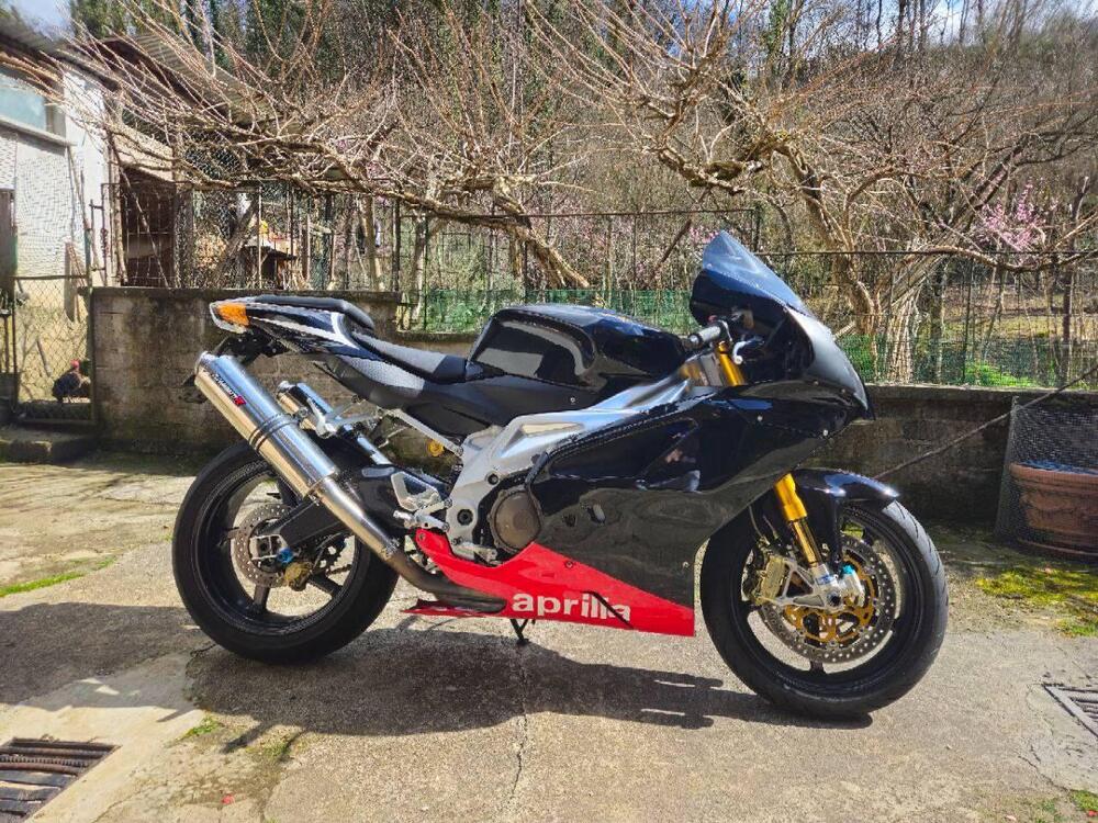 Aprilia RSV 1000 R (2006 - 09) (5)