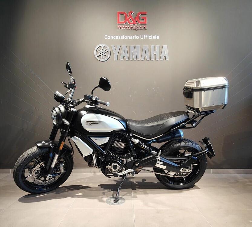 Ducati Scrambler 1100 Pro (2020 - 22) (5)