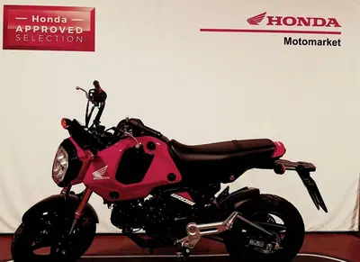 Honda MSX 125 Grom (2021 - 26) usata