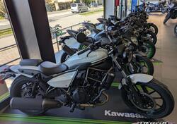 Kawasaki Eliminator 500 (2024 - 25) nuova