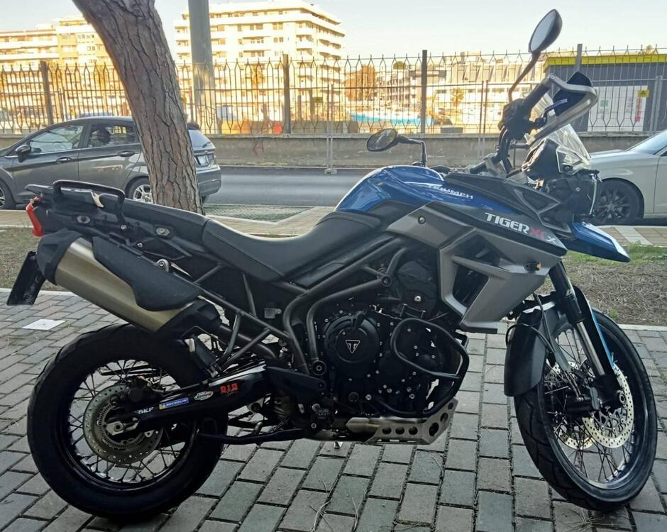 Triumph Tiger 800 XCx (2015 - 17) (2)