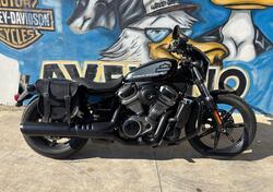 Harley-Davidson Nightster (2023 - 25) usata