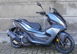 Wottan Motor Storm-X 150 (2024 - 25) nuova