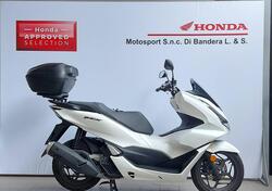 Honda PCX 125 (2021 - 24) usata