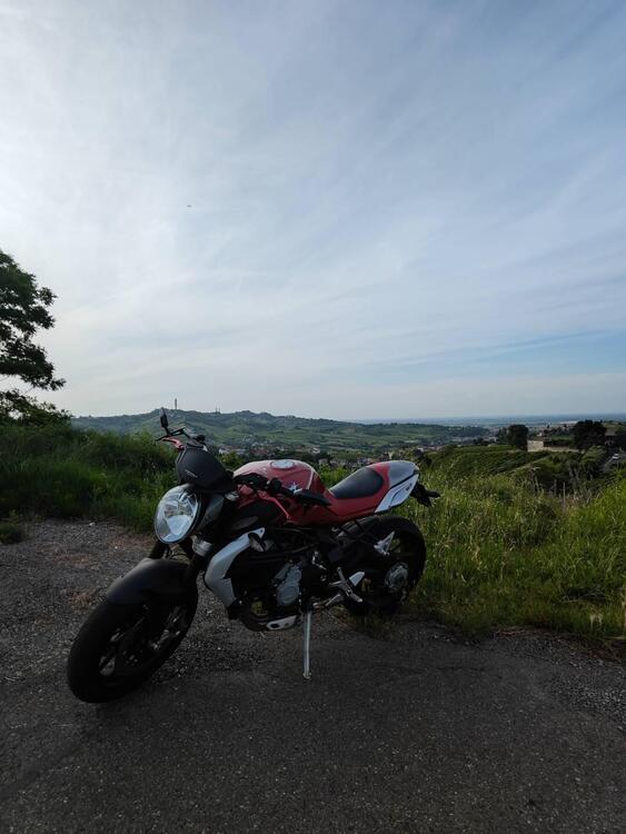 MV Agusta Brutale 800 EAS ABS (2012 - 15) (2)