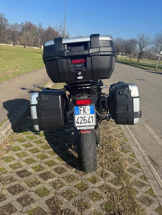 Triumph Tiger 900 GT (2024 - 25) (2)